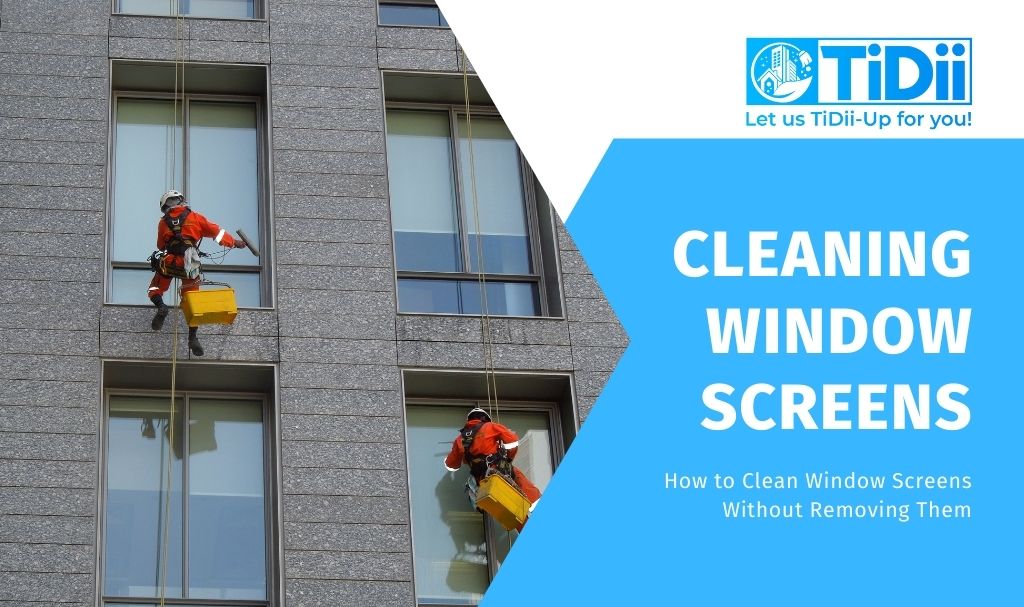 how to clean window screens