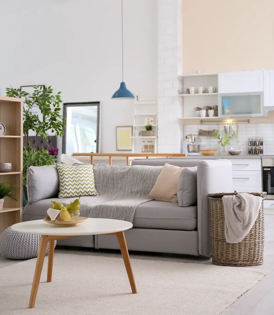 TiDii cleaning professionals at work